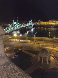 Freedom  Bridge from Hotel Gellert